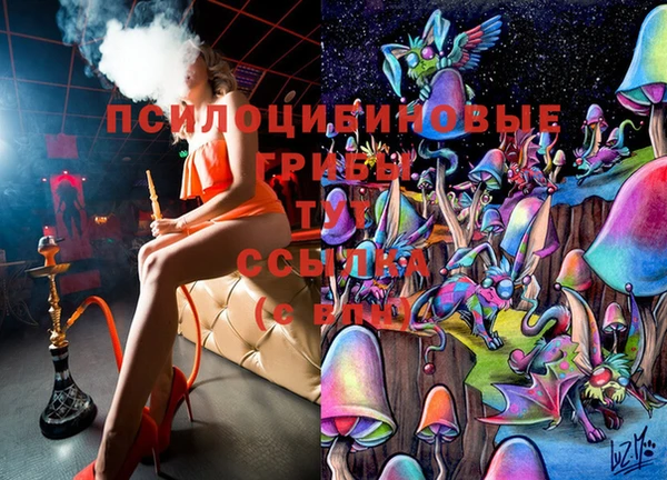 mdma Белокуриха