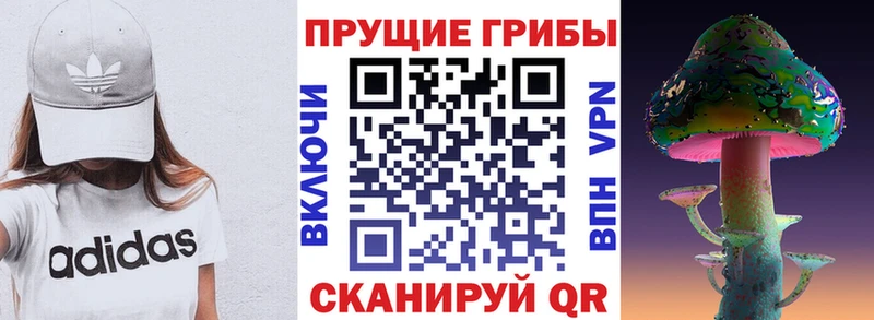 Псилоцибиновые грибы Cubensis  Еманжелинск 